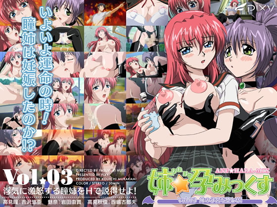 姉☆孕みっくす Vol.03 姉の子宫を堕とせ![中文字幕]