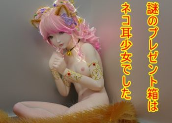 [ゆののん] プレゼントはネコ耳少女？