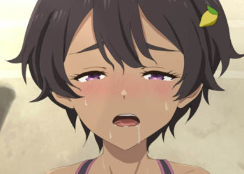 [Akino(あきの屋)] 焼塩柠檬／LemonYakishio